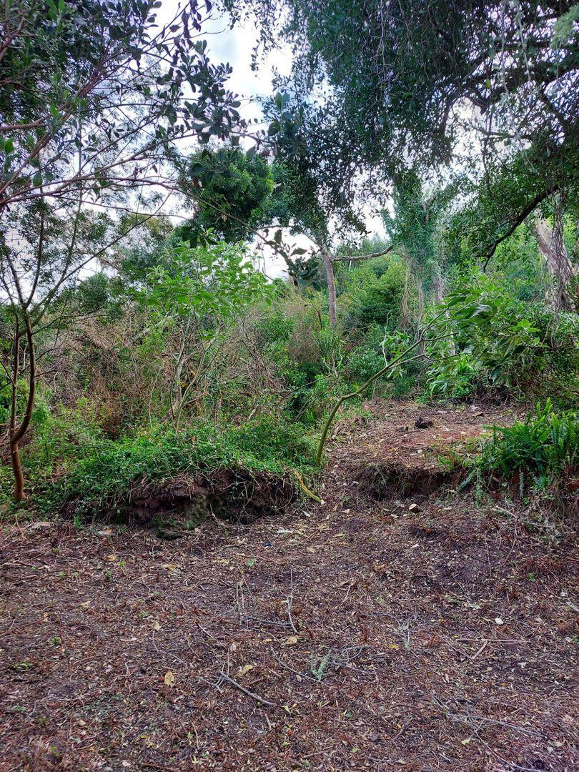 0 Bedroom Property for Sale in Paradise Western Cape